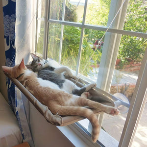 Cat Window Perch Hammock Window Mounted Cat Bed Set Cooling Breathable Canvas Suction Cups Sunbath Hammock Bed for Cats Dogs