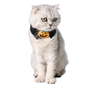 Halloween Mischief Cat Small Necktie Collar Black Tie Pumpkin