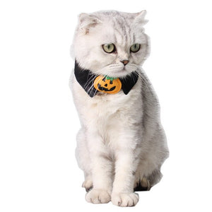 Halloween Mischief Cat Small Necktie Collar Black Tie Pumpkin